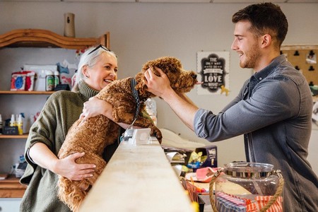 Los perros nos juzgan si somos buenos o malos con otras personas