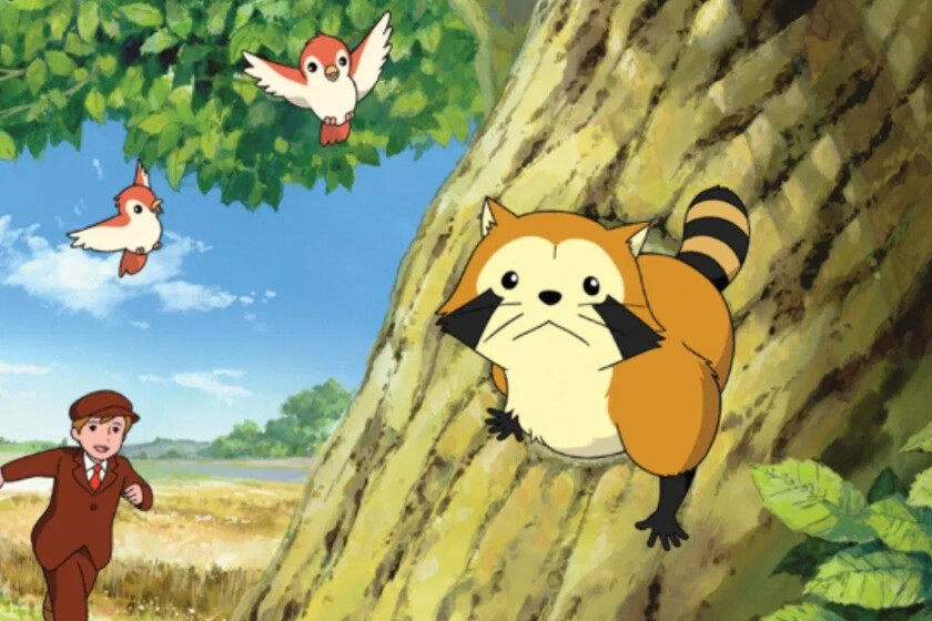 およそ50年前、愛らしいアライグマが登場するアニメが公開されました。その影響は壊滅的であり、日本はまだ立ち直っていません。