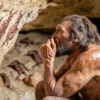 Pensábamos que los neandertales crecían como nosotros: el hallazgo de un bebé de 14 meses ha demostrado lo contrario