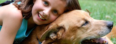Estas son las nuevas obligaciones si tienes perro que exige la Ley de Bienestar Animal 