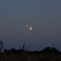 Achávamos que a nossa Lua era única, até olharmos mais de perto: a ciência acaba de confirmar a bizarra "segunda Lua" na órbita da Terra 