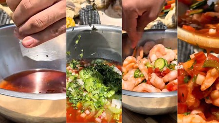 Octel Vuelve A La Vida