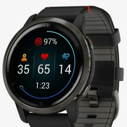 Smartwatch Garmin Venu 2 tecnológico de piel negro


