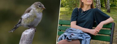 Unos científicos han descubierto algo extraño: a los pájaros de las ciudades les dan más miedo las mujeres que los hombres