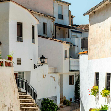 Discreto y de interior, este pueblo de Alicante presume de que uno de sus vecinos más antiguos tiene más de 2.000 años: es un olivo 