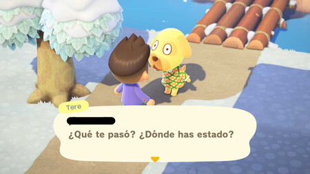 Animal Crossing 3 0 Consejos 4 A
