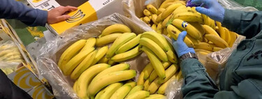 Decían que era de Canarias, pero era de Madeira: el timo de una empresa de Alicante que estafó más de 2.000 toneladas de fruta