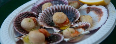 El fraude de las zamburiñas: en qué consiste y cómo saber si te están sirviendo otra cosa en los bares 