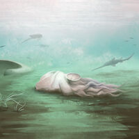 Este é o polvo mais velho do mundo... mas descobrimos que ele nunca foi realmente um polvo 