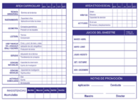 ¿Es importante el expediente académico para acceder a una posición profesional? 