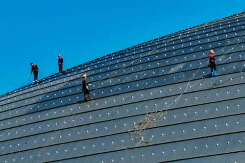 Paneles solares