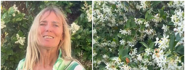 Suni Bustinza, experta en plantas: "Estas son las plantas trepadoras resistentes que sí elegiría para mi jardín" 