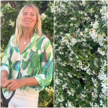 Suni Bustinza, experta en plantas: "Estas son las plantas trepadoras resistentes que sí elegiría para mi jardín" 