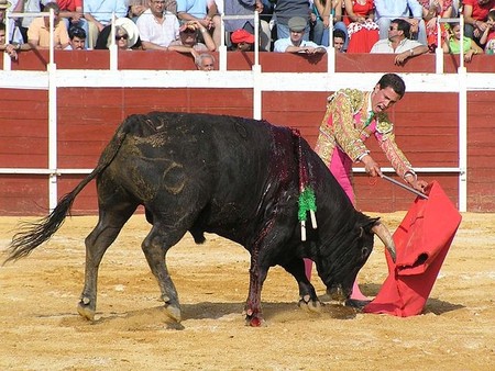 Dolor animal (I): el origen de los derechos de los animales