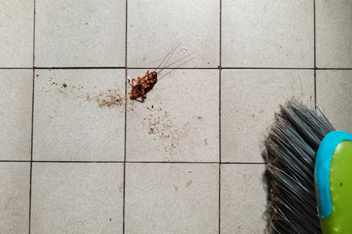 Getty Images/Volanthevist