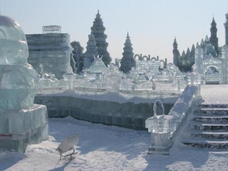 harbin2