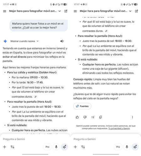 Gemini Respuesta Foto