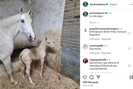 Captura De Pantalla 26 3 2025 121433 Www Instagram Com