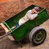 Unos neurocientíficos creen haber encontrado el truco para resolver los problemas más complicados: echarse una siesta