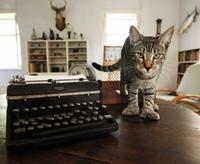 Los gatos de Hemingway llegan a la Corte Suprema de Justicia de Estados Unidos