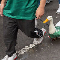 La psicología explica el fenómeno de Merlín en México: por qué nos encanta ver a un pato vestido de futbolista 