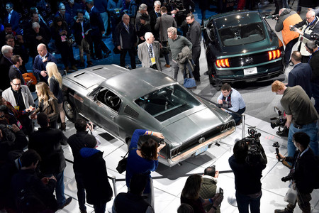 Naias Bullit