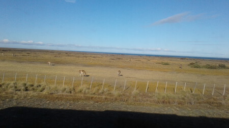 Pastures In Chilean Patagonia