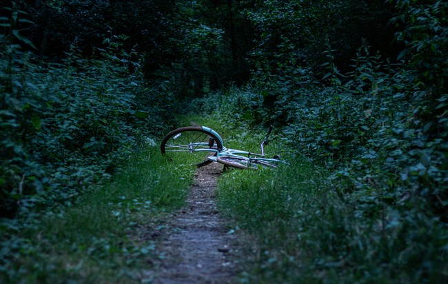 Joel In T Veld Bdnw Ubrvrw Unsplash
