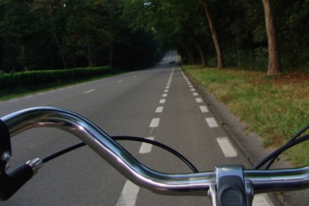 Compañeros de ruta: desde el Camino de Santiago hasta el lejano Omán