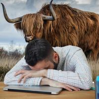 No dejes para muy tarde la declaración del Impuesto de Sociedades: 2024 trae novedades que es importante conocer, que no te pille el toro