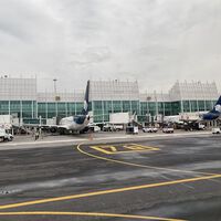 El éxito del comercio electrónico en México tuvo un ganador inesperado: los aeropuertos 