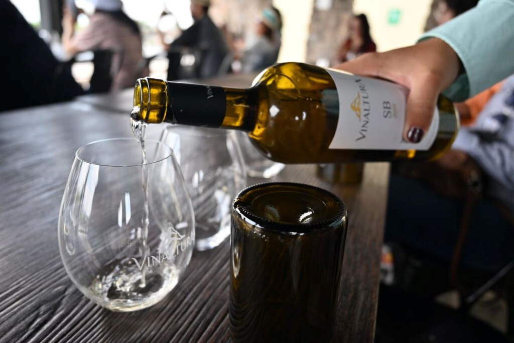 Asiste a la primera edición del festival 'Vive el Vino' en León, Guanajuato, donde podrás probar variedad de vinos de México y el mundo