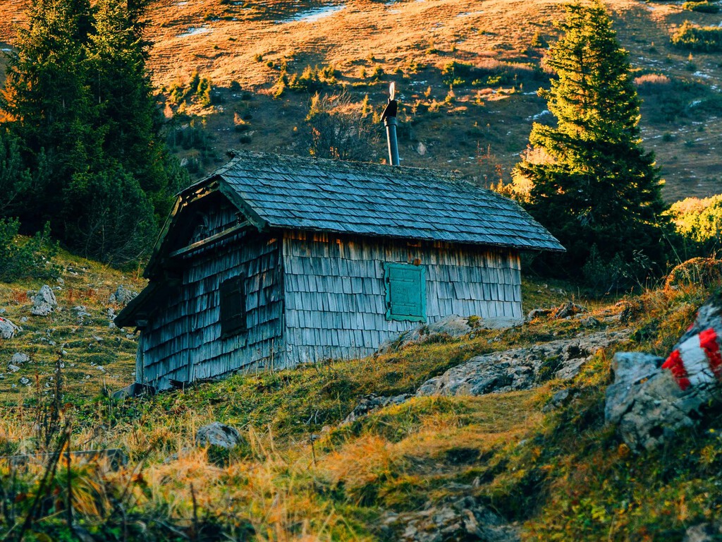 Una familia pretendía vivir solo con agua de pozo, paneles solares y una huerta. Hasta que Italia le arrebató a sus hijos   . Noticias en tiempo real