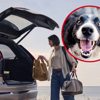 Una mujer ha demandado a Volvo porque recibió un fuerte golpe en la cabeza por culpa de un perro que cerró el portón de maletero del coche sin querer. Considera que el coche es peligroso