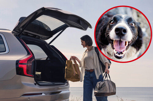 Porton Trasero Volvo Ex90 Y Perro