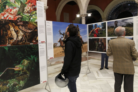 Cinco museos y exposiciones para no perderse en mayo
