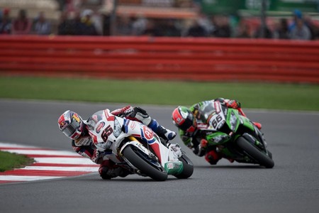 Rea Campeon De Mundo Decoracion Dorada 8