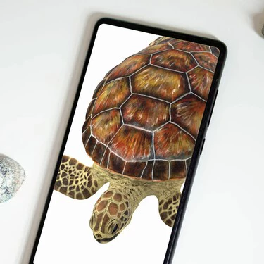 Movil Lento Como Una Tortuga