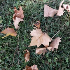 Foto 5 de 22 de la galería muestras-de-camara-alcatel-a7 en Xataka Móvil