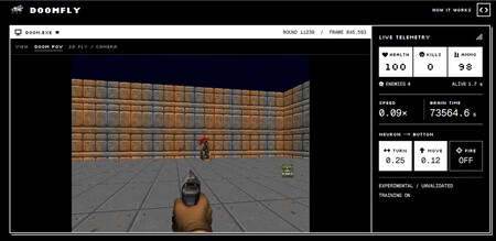 Google Mapeo El Cerebro De Una Mosca Y Ahora El Insecto Esta Haciendo La Cosa Mas Distopica Jugar Doom