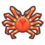 Japanese Giant Crab
