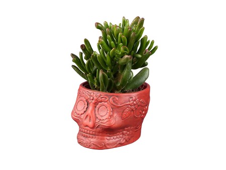 Catrina Halloween Zoom  Lidl