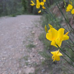 image01