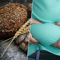 Dejar el gluten para adelgazar es un error de manual: la ciencia explica por qué puede ser peor el remedio que la enfermedad 