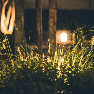Ni lámpara ni velas: Leroy Merlin tiene el invento para iluminar tu jardín por menos de 17 euros