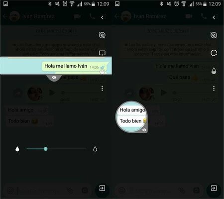 BlackBerry プライバシー シェード