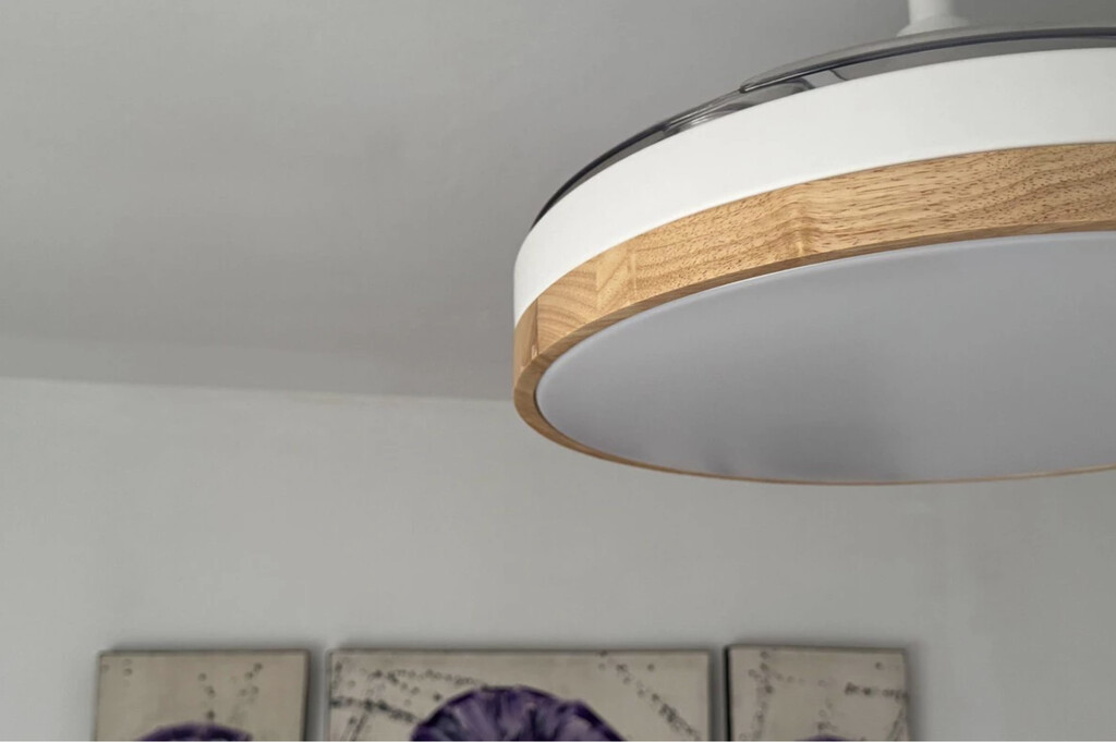 Cometí un error al comprar el ventilador de techo que lo hace inútil en la ola de calor. Te lo cuento para que no te pase
