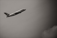 Las exportaciones tienen límites: la gallina de los huevos de oro, exhausta 