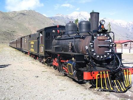 La Trochita