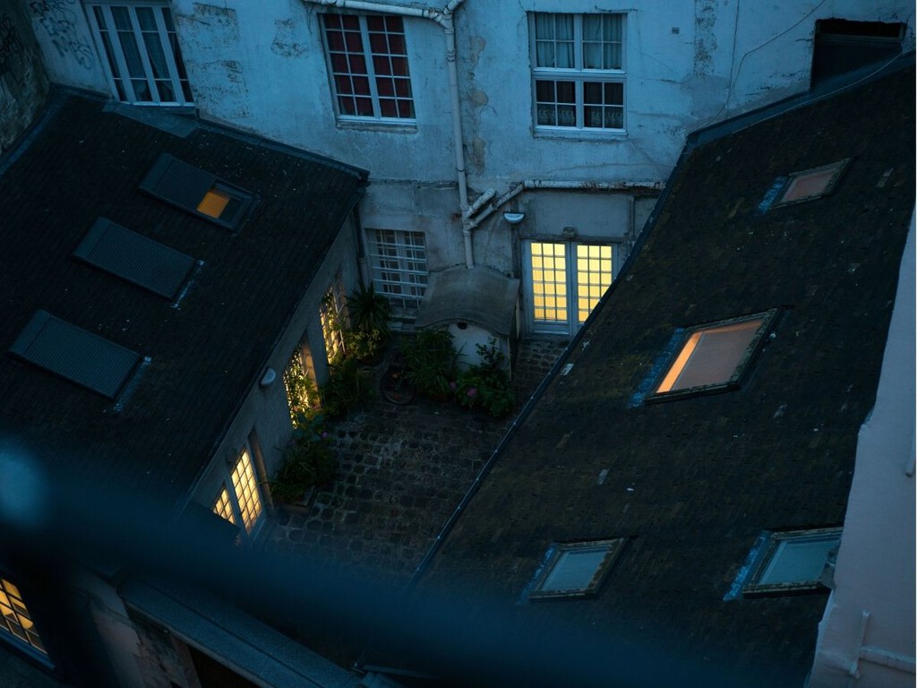 Antes y después: así se transforma un patio oscuro y pequeño en una auténtica jungla urbana